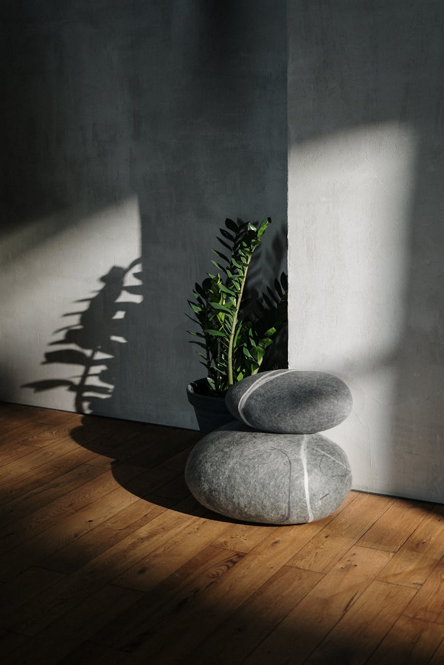 green plant on gray concrete pot